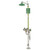 Axion™ MSR Shower/Eyewash, Combination - 8300.158
