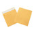 Expandable Self-Seal Envelopes, 10" x 13" x 2", Kraft, 100/Case - EN1076