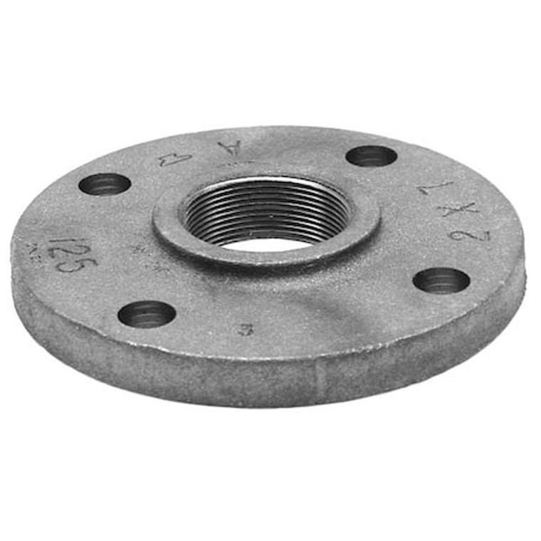 Flanged x FNPT, Cast Iron Reducing Companion Threaded Flange, Class 125 - 0308007905