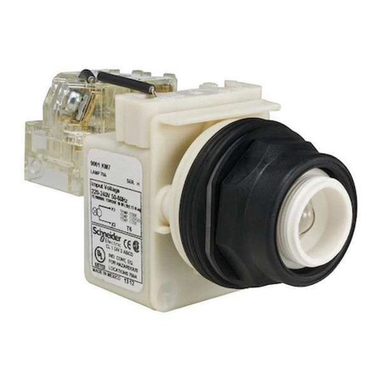 Push to Test Pilot Light, Clear, 30mm - 9001SKT7