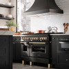 ZLINE 5-Piece Appliance Package - 48-Inch Legacy Dual Fuel Range, Wall Mount Range Hood, 36-Inch French Door Refrigerator, Dishwasher, and 30-Inch Microwave Drawer in Black Stainless Steel with Gold Accents