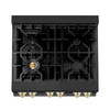 ZLINE Autograph Edition 4-Piece Appliance Package - 30-Inch Dual Fuel Range, Refrigerator with Water Dispenser, Wall Mounted Range Hood, & 24-Inch Tall Tub Dishwasher in Black Stainless Steel with Gold Trim (4KAPR-RABRHDWV30-G)