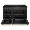 ZLINE Designer 48-Inch 6.7 Cu. Ft. Dual Fuel Range with 8 Burner DuoPro Cooktop in Black Satin with Black and Champagne Accents (PSDRBSZ-48-MBCB)