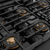 ZLINE Designer 48-Inch 6.7 Cu. Ft. Dual Fuel Range with 8 Burner DuoPro Cooktop in Black Satin with Black and Champagne Accents (PSDRBSZ-48-MBCB)