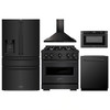 ZLINE 5-Piece Appliance Package - 30-Inch Gas Range, Hood, Refrigerator with Water Dispenser, Dishwasher, and Microwave Drawer in Black Stainless Steel