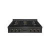 ZLINE Designer 36-Inch Paramount Gas Rangetop with 6 Burner DuoPro™ Cooktop in Black Satin with Black and Champagne Accents (PSRTBSZ-36-MBCB)