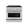 ZLINE Autograph 36-Inch Paramount DuoPro Gas Range in Stainless Steel with Gold Helix Handle (PSGRZ-36-KG)