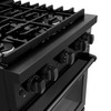 ZLINE 5-Piece Appliance Package - 30-Inch Gas Range, Refrigerator with Water Dispenser, Convertible Wall Mount Hood, Microwave Drawer, and 3-Rack Dishwasher in Black Stainless Steel (5KPRW-SGRBRH30-MWDWV)