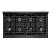 ZLINE Autograph 48-Inch 6.7 Cu. Ft. Paramount Dual Fuel Range with 8 Burner DuoPro Cooktop in Black Satin and Champagne Accents (PSDRBSZ-48-CB)