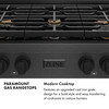 ZLINE 36-Inch Paramount Gas Rangetop with 6 Brass Burners and Porcelain Cooktop in Black Satin Stainless Steel (SRTBS-BR-36)
