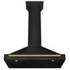 ZLINE 5-Piece Appliance Package - 48-Inch Dual Fuel Range, Hood, Refrigerator with Water Dispenser, Dishwasher, and Microwave Drawer in Black Stainless Steel with Champagne Bronze Accents