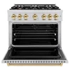 ZLINE 4-Piece Appliance Package - 36-Inch Dual Fuel Range, Hood, Refrigerator, and Dishwasher in Stainless Steel with Gold Accents