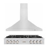 ZLINE 2-Piece Appliance Package - 48-Inch Rangetop and Covertible Range Hood in Stainless Steel (2KP-RTRH48)