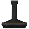 ZLINE 4-Piece Appliance Package - 36-Inch Dual Fuel Range, Hood, Refrigerator, and Dishwasher in Black Stainless Steel with Gold Accents