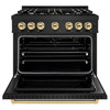 ZLINE 3-Piece Appliance Package - 36-Inch Gas Range, Refrigerator, and Dishwasher in Black Stainless Steel with Gold Accents