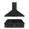 ZLINE 2-Piece Appliance Package - 30-Inch Rangetop and Convertible Range Hood in Black Stainless Steel (2KP-RTBRH30)