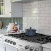 ZLINE 3-Piece Appliance Package - 48 in. Rangetop, 30 in. Wall Oven, & Premium Hood in Stainless Steel
