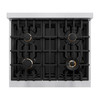 ZLINE 4-Piece Appliance Package - 30-Inch Dual Fuel Range, Hood, Refrigerator with Water Dispenser, and Dishwasher in Stainless Steel with Champagne Bronze Accents