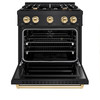 ZLINE 4-Piece Appliance Package - 30-Inch Dual Fuel Range, Hood, Refrigerator, and Dishwasher in Black Stainless Steel with Gold Accents