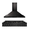 ZLINE 2-Piece Appliance Package - 48-Inch Rangetop and Convertible Range Hood in Black Stainless Steel (2KP-RTBRH48)