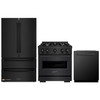 ZLINE 3-Piece Appliance Package - 30-Inch Dual Fuel Range, Refrigerator, and Dishwasher in Black Stainless Steel