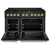 ZLINE 3-Piece Appliance Package - 48-Inch Paramount Dual Fuel Range, 36-Inch French Door Refrigerator, Dishwasher, in Black Stainless Steel with Champagne Bronze Accents