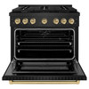 ZLINE 4-Piece Appliance Package - 36-Inch Paramount Dual Fuel Range, Wall Mount Range Hood, 36-Inch French Door Refrigerator with Water Dispenser, Dishwasher, in Black Stainless Steel with Champagne Bronze Accents