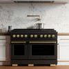 ZLINE 4-Piece Appliance Package - 48-Inch Paramount Dual Fuel Range, Wall Mount Range Hood, 36-Inch French Door Refrigerator, Dishwasher, in Black Stainless Steel with Champagne Bronze Accents