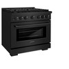 ZLINE 4-Piece Appliance Package - 36-Inch Paramount Dual Fuel Range, Wall Mount Range Hood, 36-Inch French Door Refrigerator, Dishwasher, in Black Stainless Steel