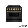 ZLINE Autograph 36-Inch 5.2 Cu. Ft. Classic Dual Fuel Range with 6 Burner DuoPro™ Cooktop and Oven in Black Stainless and Champagne (PCDRBZ-36-CB)