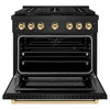 ZLINE 5-Piece Appliance Package - 36-Inch Paramount Dual Fuel Range, Wall Mount Range Hood, 36-Inch French Door Refrigerator with Water Dispenser, Dishwasher, and 24-Inch Microwave Drawer in Black Stainless Steel with Gold Accents