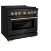 ZLINE 3-Piece Appliance Package - 36-Inch Paramount Dual Fuel Range, 36-Inch French Door Refrigerator with Water Dispenser, Dishwasher, in Black Stainless Steel with Champagne Bronze Accents
