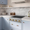 ZLINE Autograph Edition 30-Inch Paramount Induction Rangetop with 4 Element Cooktop in Stainless Steel and Champagne Bronze Accents (SINRTZ-30-CB)