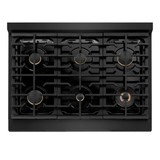 ZLINE 3-Piece Appliance Package - 36-Inch Paramount Gas Range, 36-Inch French Door Refrigerator, Dishwasher, in Black Stainless Steel with Champagne Bronze Accents