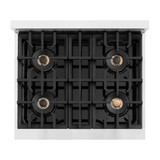 ZLINE 30-Inch 4.2 Cu. Ft. Classic Gas Range with 4 Burner DuoPro™ Cooktop and Convection Gas Oven in Stainless Steel (PCGR30)