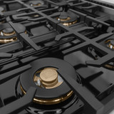 ZLINE Autograph Edition 48-Inch Classic Gas Rangetop with 8 Burner DuoPro™ Cooktop in Stainless Steel and Polished Gold Accents (PCRTZ-48-G)