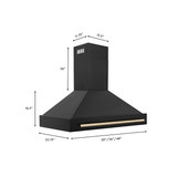 ZLINE Autograph Edition 2-Piece Appliance Package - 48-Inch Gas Range & Wall Mounted Range Hood in Black Stainless Steel with Gold Trim (2AKPR-SGRBRH48-G)