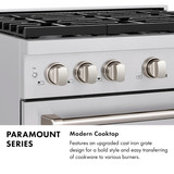 ZLINE Autograph 48-Inch Paramount Dual Fuel Range in Stainless Steel with Gold Helix Handles (SDRZ-48-KG)