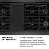 ZLINE 48-Inch Paramount Gas Rangetop with 8 Brass Burners and Porcelain Cooktop in Black Satin Stainless Steel (SRTBS-BR-48)