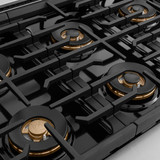 ZLINE 48-Inch Paramount Gas Rangetop with 8 Burner DuoPro™ Cooktop in Stainless Steel (PSRT48)