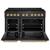 ZLINE Autograph 48-Inch 6.7 Cu. Ft. Paramount Dual Fuel Range with 8 Burner DuoPro Cooktop in Black Satin and Champagne Accents (PSDRBSZ-48-CB)