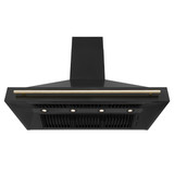 ZLINE Autograph Edition 4-Piece Appliance Package - 48-Inch Dual Fuel Range, Refrigerator, Wall Mounted Range Hood, & 24-Inch Tall Tub Dishwasher in Black Stainless Steel with Gold Trim (4AKPR-RABRHDWV48-G)