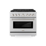 ZLINE 3-Piece Appliance Package - 36-inch Gas Range, Tall Tub Dishwasher & Premium Hood in Stainless Steel (3KP-SGRRH36-DWV)