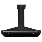 ZLINE 4-Piece Appliance Package - 48-Inch Dual Fuel Range, Hood, Refrigerator, and Dishwasher in Black Stainless Steel with Gold Accents