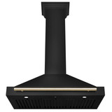 ZLINE 4-Piece Appliance Package - 36-Inch Dual Fuel Range, Hood, Refrigerator, and Dishwasher in Black Stainless Steel with Gold Accents