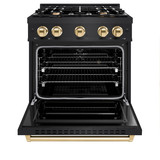 ZLINE 4-Piece Appliance Package - 30-Inch Dual Fuel Range, Hood, Refrigerator with Water Dispenser, and Dishwasher in Black Stainless Steel with Gold Accents