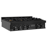 ZLINE 2-Piece Appliance Package - 36-Inch Rangetop and Convertible Range Hood in Black Stainless Steel (2KP-RTBRH36)