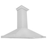 ZLINE 2-Piece Appliance Package - 36-Inch Rangetop and Convertible Range Hood in Satin Stainless Steel (2KP-RTSRH36)