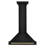 ZLINE 4-Piece Appliance Package - 30-Inch Dual Fuel Range, Hood, Refrigerator, and Dishwasher in Black Stainless Steel with Gold Accents
