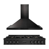 ZLINE 2-Piece Appliance Package - 48-Inch Rangetop and Convertible Range Hood in Black Stainless Steel (2KP-RTBRH48)